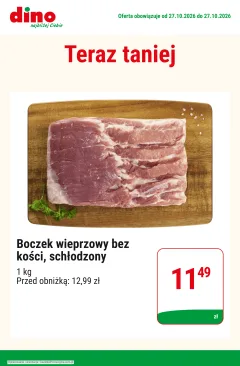 Okładka gazetki Dino