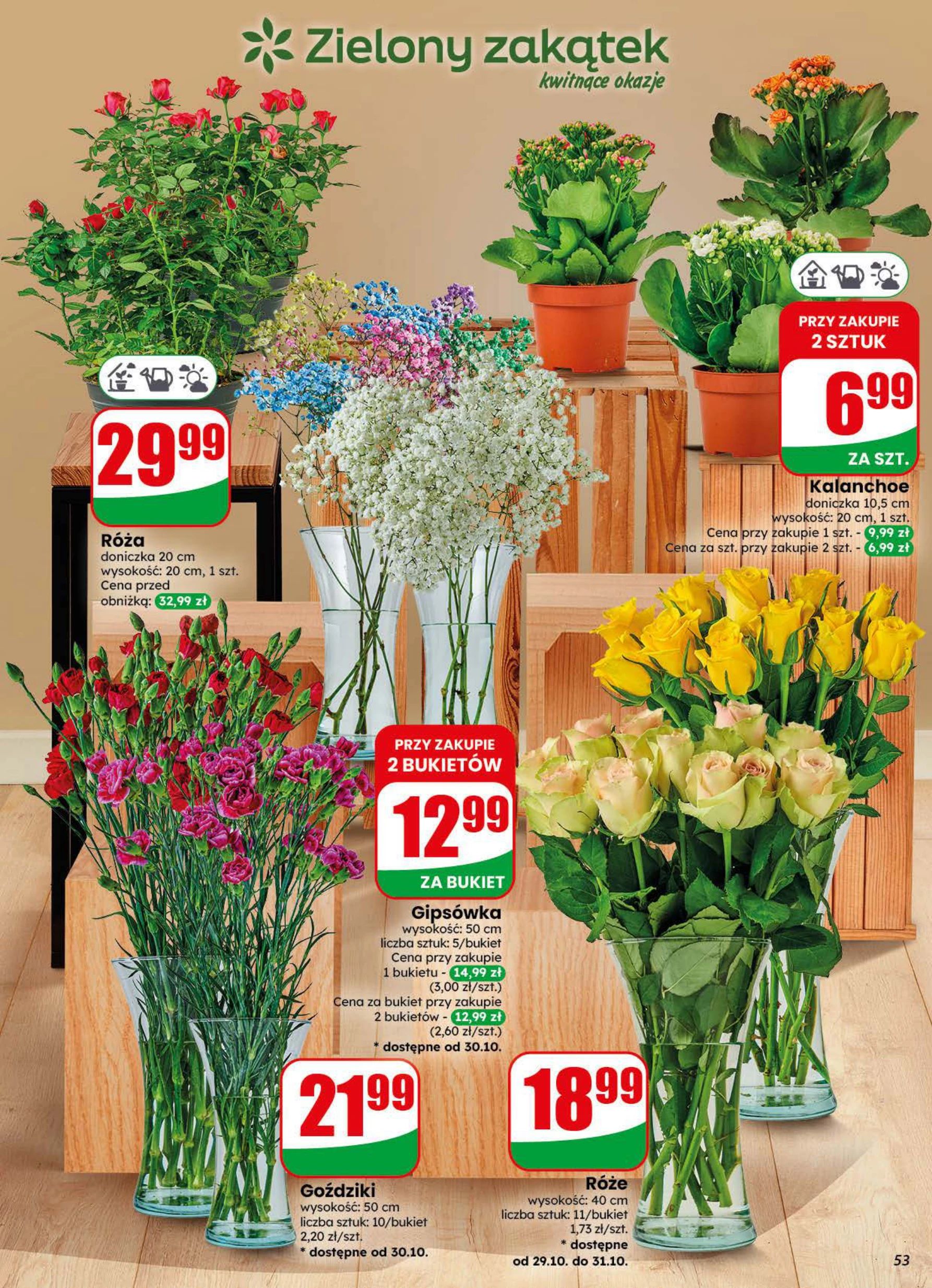 Gazetka – strona 53