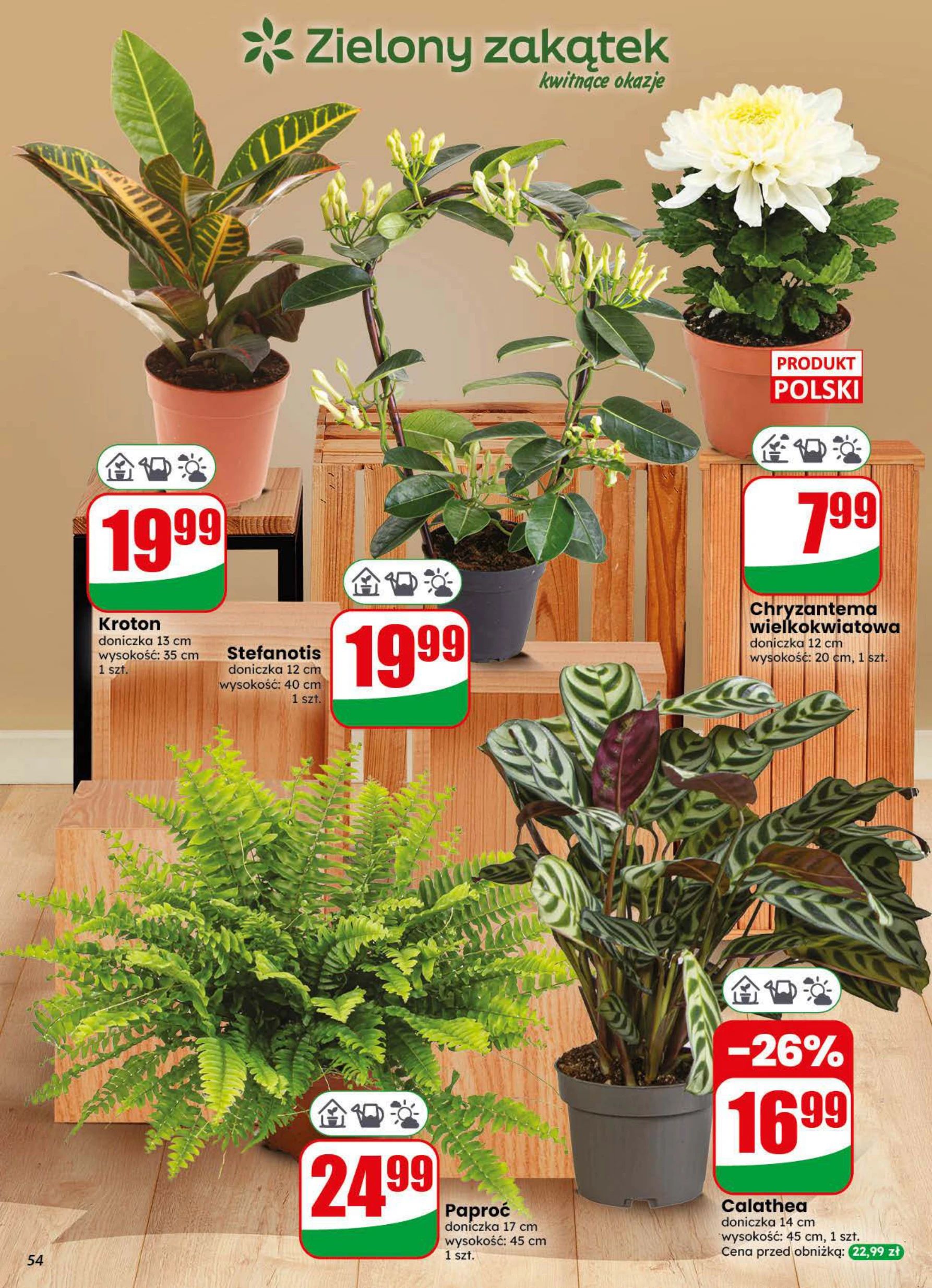 Gazetka – strona 54