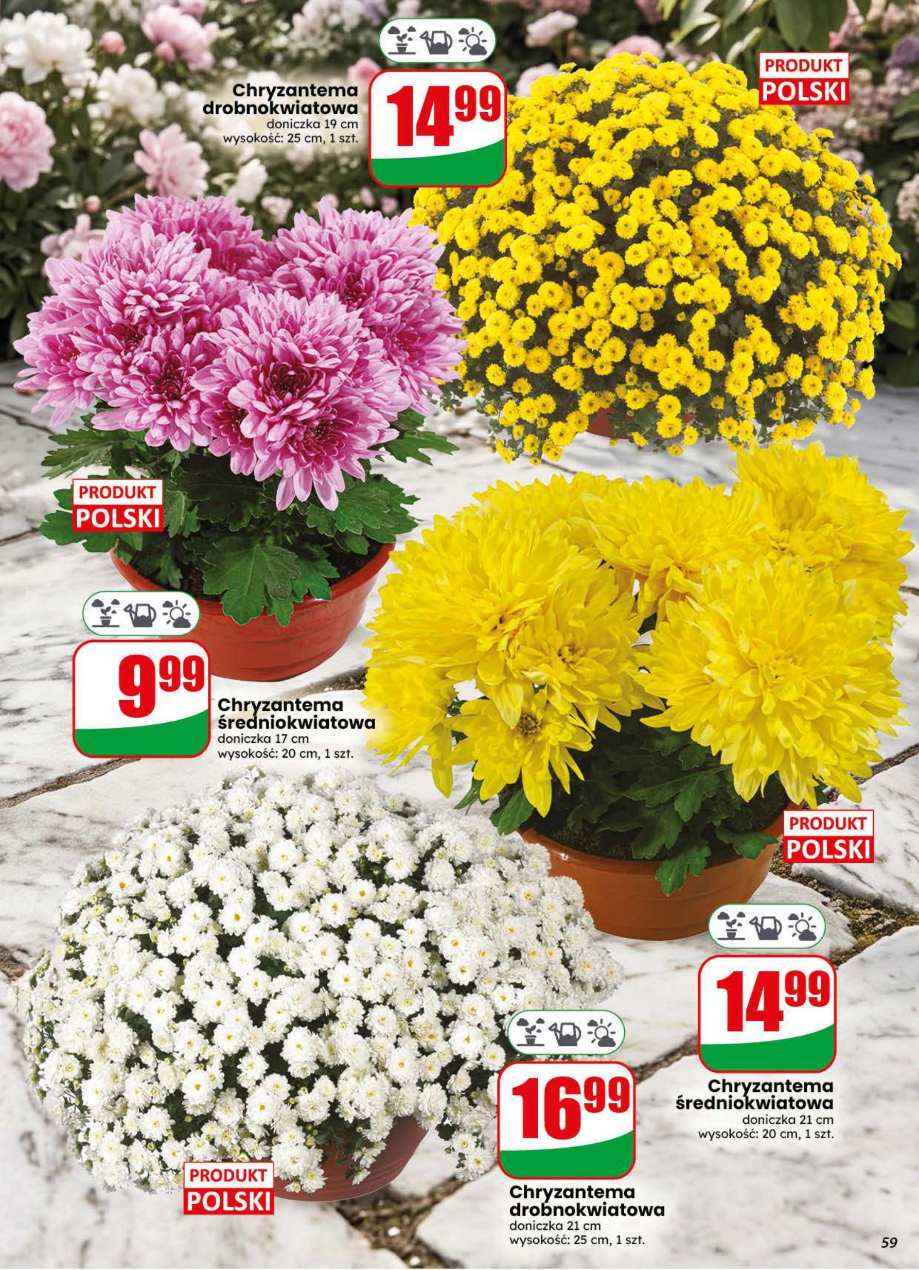 Gazetka – strona 59