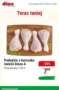 Okładka gazetki Dino