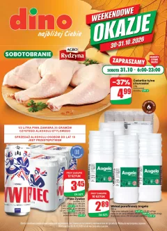 Okładka gazetki Dino