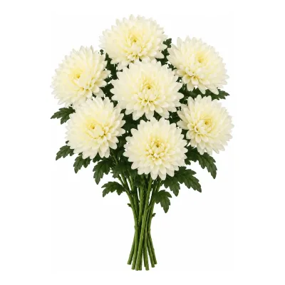 Kwiat sztuczny bukiet chryzantema 7szt 58cm WŚ26